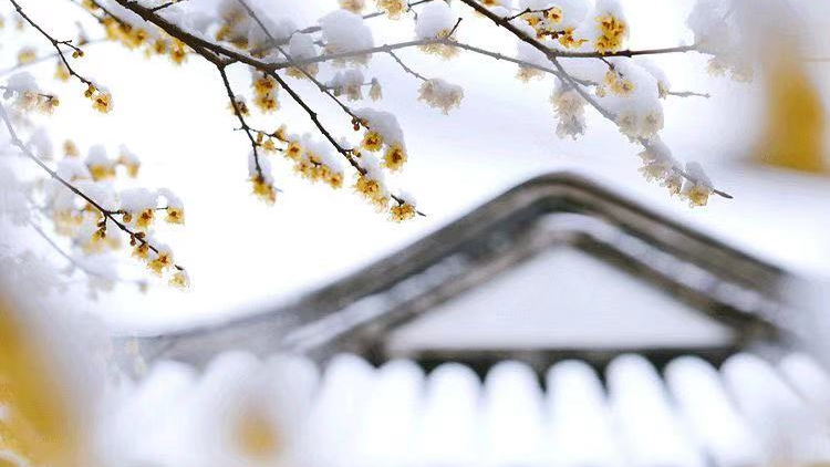 大寒養(yǎng)生,做好這五點即可!